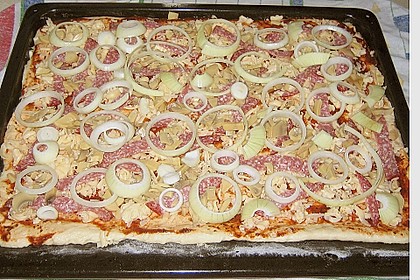 Pizzateig 17