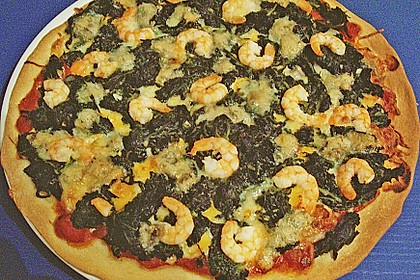 Pizzateig 31