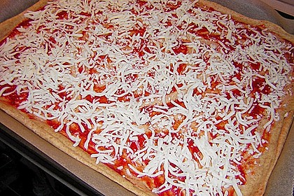 Pizzateig 20