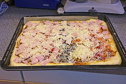Pizzateig 29