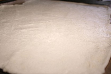 Pizzateig 30