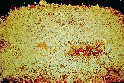 Schnelle Cannelloni 2