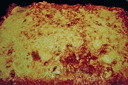 Schnelle Cannelloni 3