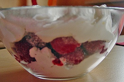 Schneegest&ouml;ber