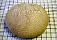 Dinkel - Buchweizen - Brot