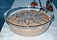 Schoko - Mousse