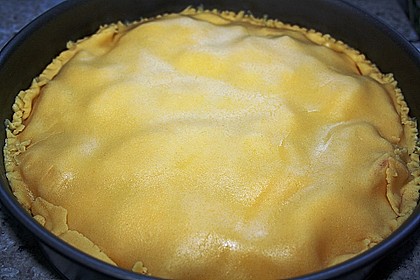 Apfelkuchen 8