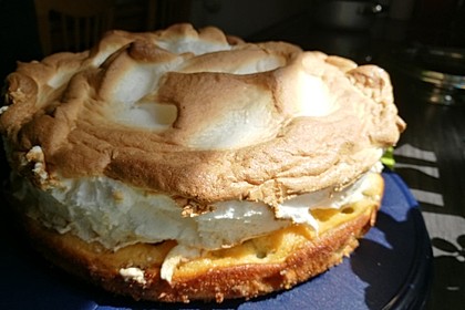 Stachelbeerkuchen mit Decke nach WW - Art 9