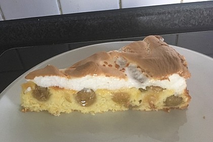Stachelbeerkuchen mit Decke nach WW - Art 8