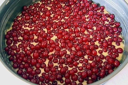 Stachelbeerkuchen mit Decke nach WW - Art 9