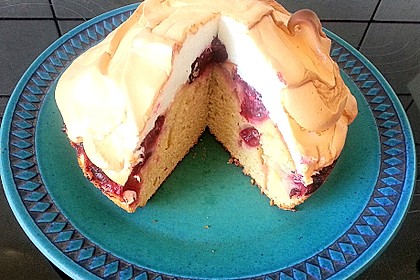 Stachelbeerkuchen mit Decke nach WW - Art 2