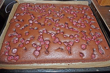 Mooskuchen 4