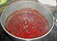 Neris Erdbeerchutney