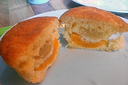 Muffins 100