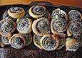 Mohnschnecken