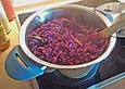 Rotkohl