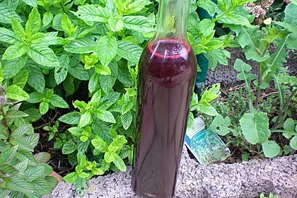 Cassis - Balsamico 3