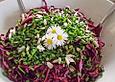 Rotkohlsalat
