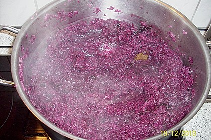 Rotkohl 20