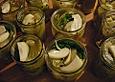 Fenchel 'Toscana'