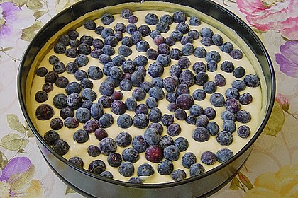 Beeren - Käsekuchen 10
