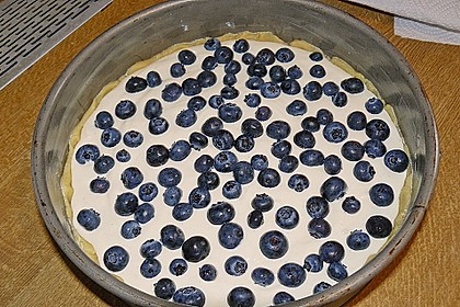 Beeren - Käsekuchen 30