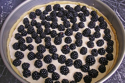 Beeren - Käsekuchen 20