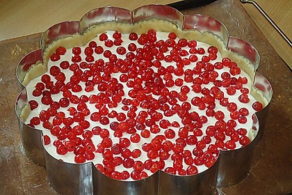 Beeren - Käsekuchen 28