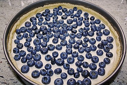 Beeren - Käsekuchen 11