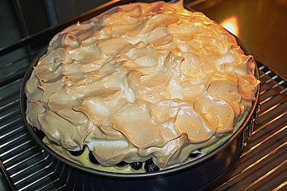 Beeren - Käsekuchen 9