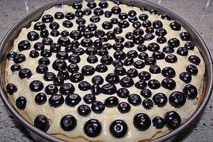 Beeren - Käsekuchen 15