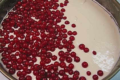 Johannisbeer - Käsekuchen mit Streusel 34
