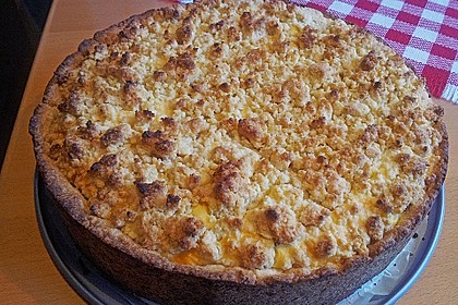 Johannisbeer - Käsekuchen mit Streusel 27