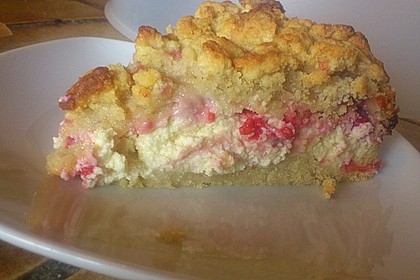 Johannisbeer - Käsekuchen mit Streusel 29
