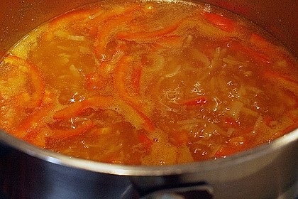 Petersfehner Gyrossuppe 4
