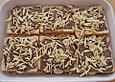 Nutellasagne
