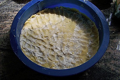Obstkuchen mit ger&ouml;steten Streuseln