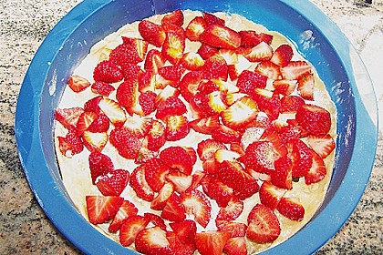 Obstkuchen mit ger&ouml;steten Streuseln 1