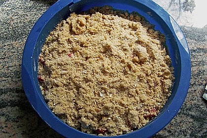 Obstkuchen mit ger&ouml;steten Streuseln 2