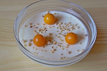 Zitrus - Panna Cotta 21