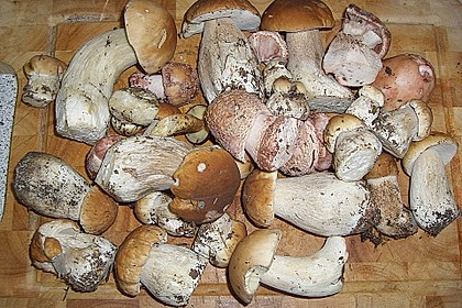 Gebratene Waldpilze - (gebrotn`e Schwamme) 6