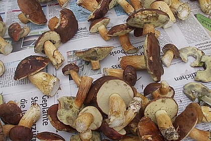 Gebratene Waldpilze - (gebrotn`e Schwamme) 10