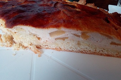 Apfelkuchen 10
