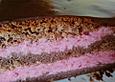 Himbeer - Joghurt - Schoko - Torte