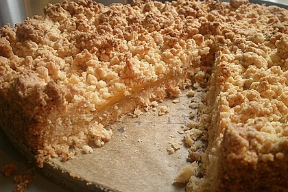 Feiner Johannisbeer - Streuselkuchen 1
