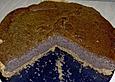 Mohnkuchen XV
