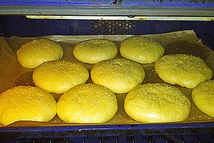 Hamburger Brötchen 176
