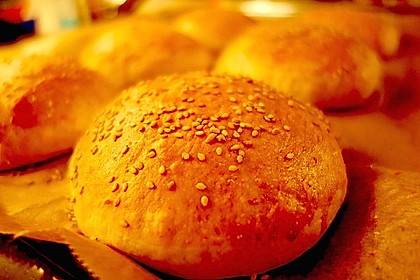 Hamburger Brötchen 48