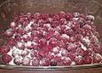 Kirschen mit Quark &uuml;berbacken