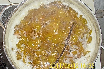 Feines Mirabellenmus mit Vanille 1